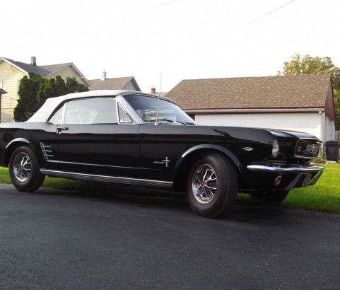 Ford Mustang convertible 1966 ( France dpt 71 )