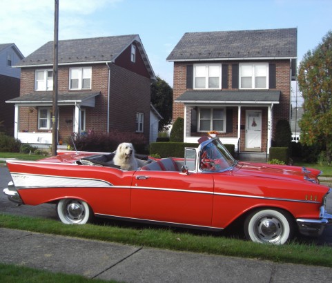 Chevrolet bel air convertible 1957 ( France dpt 01)