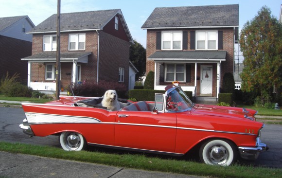 Chevrolet bel air convertible 1957 ( France dpt 01)