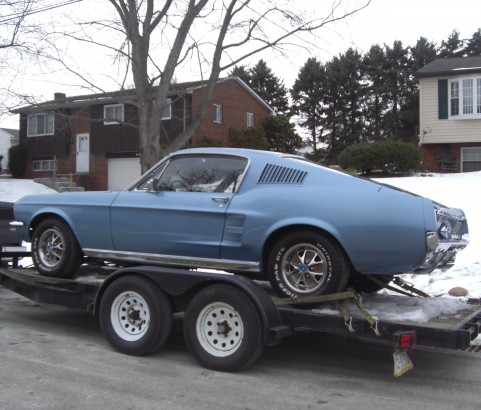 Ford Mustang Fastback 1967 ( France dpt 42)