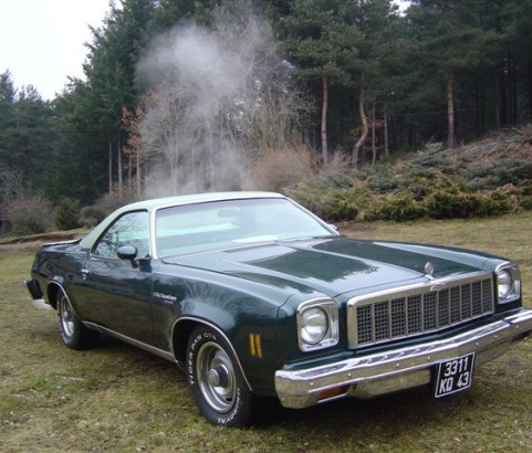 Chevrolet El Camino classic 1975 ( France dpt 45)