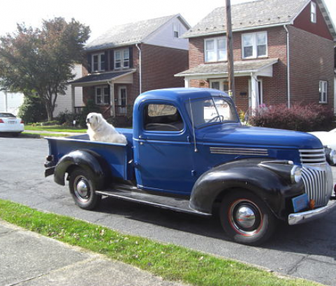 Chevrolet 1/2 ton pick-up 1946  ( France dpt 24)