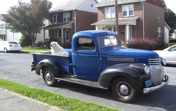 Chevrolet 1/2 ton pick-up 1946  ( France dpt 24)