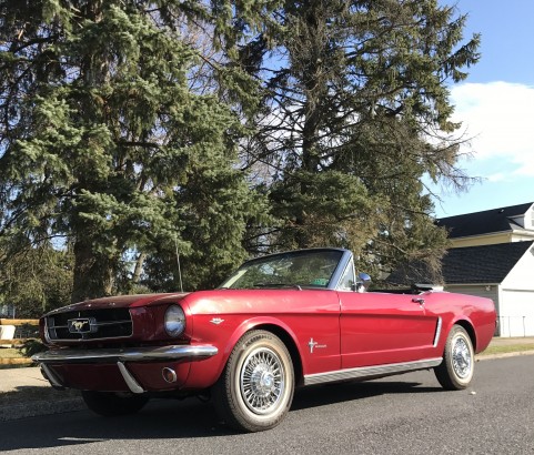 Ford Mustang convertible 1965 ( France dpt 69)