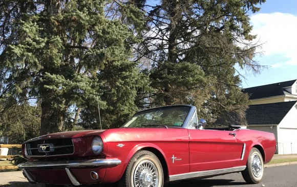 Ford Mustang convertible 1965 ( France dpt 69)