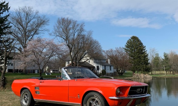 Ford mustang convertible 1967 ( France dpt 69)