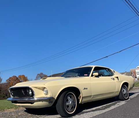 Ford Mustang fastback 1969 ( France dpt 42)