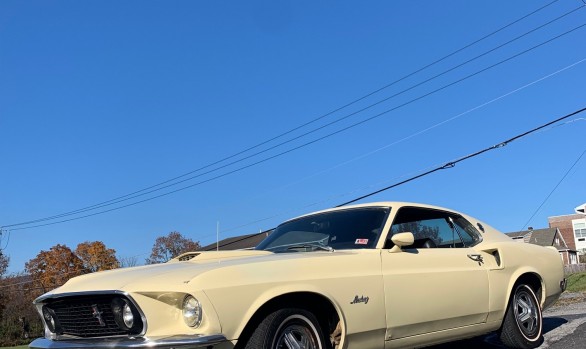 Ford Mustang fastback 1969 ( France dpt 42)