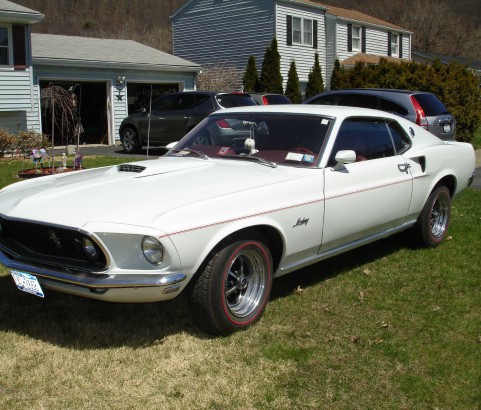 Ford Mustang fastback 1969 ( France dpt 54)