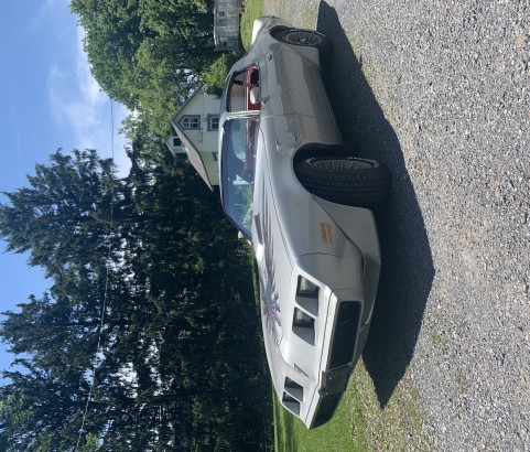 Pontiac Trans Am 1979 ( Easton, PA)