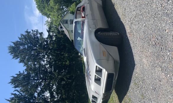 Pontiac Trans Am 1979 ( Easton, PA)